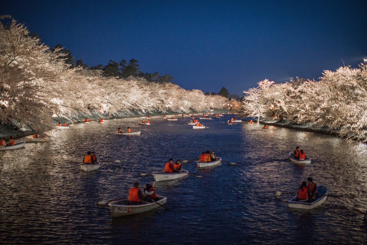 Hirosaki Castle Cherry Blossom Boat