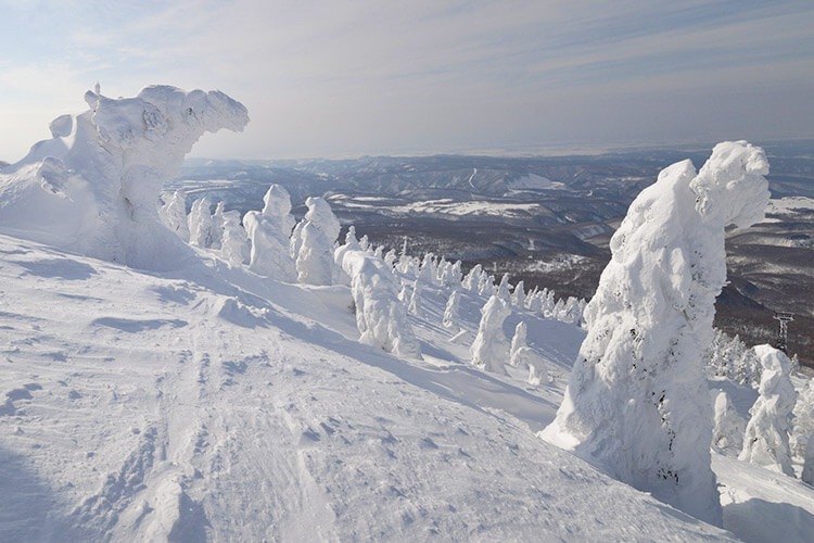 Snowshoe through a Winter Forest
