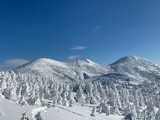 Tohoku's Winter Festivals: A Season of Fire, Snow, and Spirit