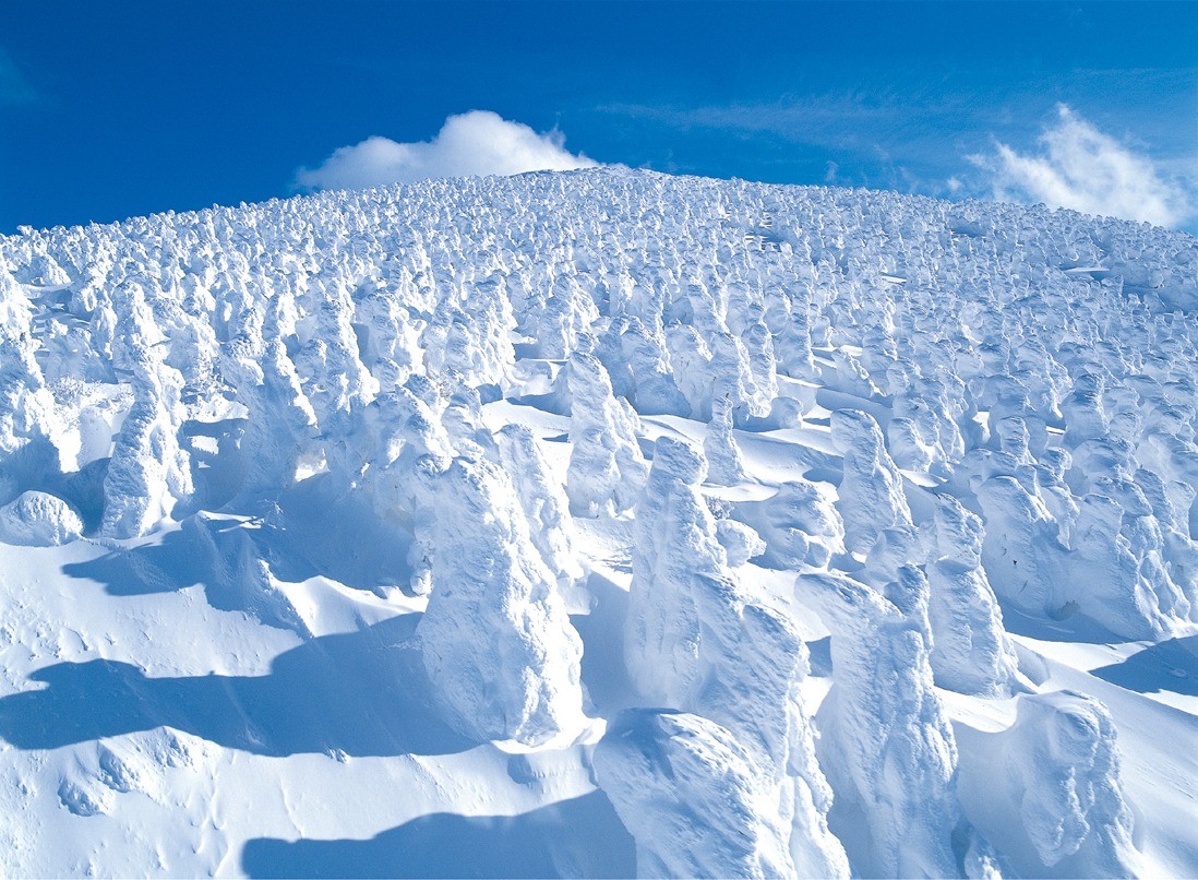 Zao Snow Monsters